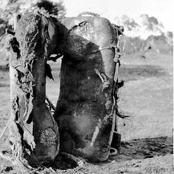 Negative - Rotting Camel Saddle in Lake Bed, Pink Lakes, via Underbool, Victoria, circa 1923