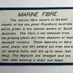 White rectangular exhibtion label with black text and blue border.