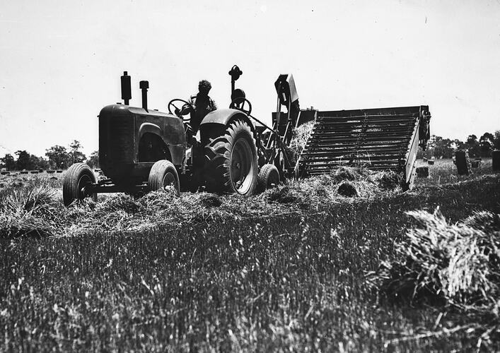 SUNSHINE ENGINE-FUNCTIONED PICKUP BALER AND SUNSHINE MASSEY HARRIS TRACTOR, BALING OATEN HAY ON THE FARM OF WHITEHEAD BROS., GNADBRO, WAGGA WAGGA N.S.W.: DECEMBER 1945.