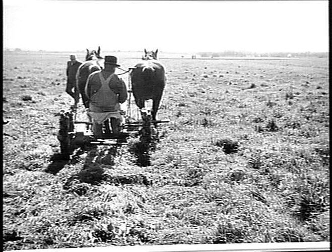 EXPERIMENTAL MOWER AT WERRIBEE APRIL 1948 (SEE NEXT PAGE)