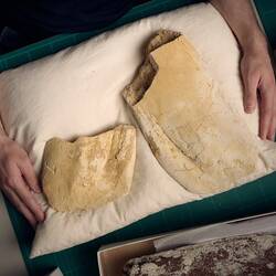 Baleen whale mandible fragments, Mysticeti