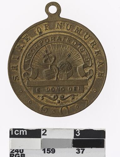 Round bronze coloured medal with coat of arms and text surrounding.