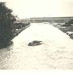 Photograph - H.V McKay Massey Harris, View Along Creek During Factory Flood, Sunshine, Victoria, 1946