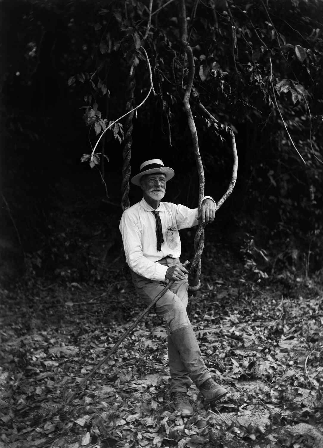 Glass Negative - Archibald James Campbell, Townsville, Queensland,1916