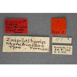 Handwritten specimen labels.