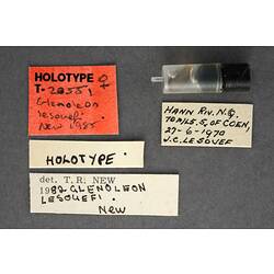 Handwritten specimen labels.