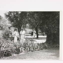 Photograph - Four Female Staff Standing in the Gardens, Kodak Factory, Abbotsford, early 1940s