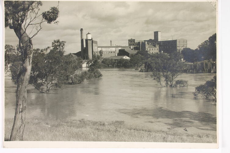 Photograph - Yarra River in Flood, Kodak Factory, Abbotsford, December 1934