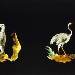 Lantern Slide - Panorama Type, Four Birds, 1820-1860