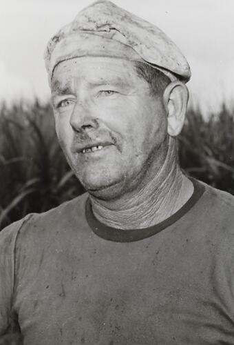 Photograph - Massey Ferguson, George, Cane Farmer, Queensland, 1960s