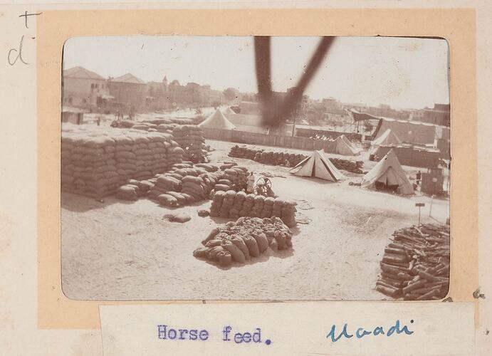 Photograph - 'Horse Feed', Maadi, Egypt, Trooper G.S. Millar, World War I, 1914-1915