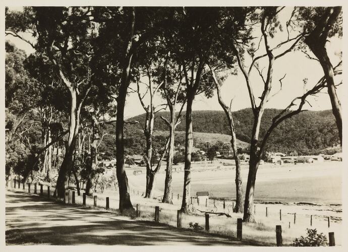 Photograph - Coastal Landscape, Lorne District, Victoria, circa 1920s