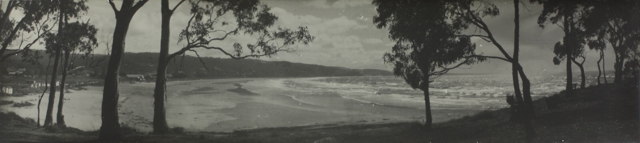 Photograph - Coastal Landscape, Lorne, Victoria, circa 1920s