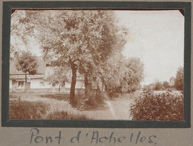 House in the left background with a row of trees alongside a road in front of the house.