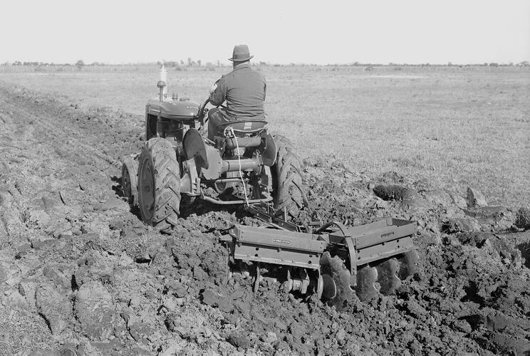 Farmall A Tractor & GL-13 Harrow