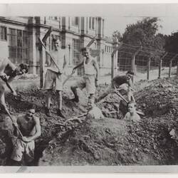 Photograph - RAAF Personnel, Digging Slit Trenches at Exhibition Building, World War II, 1942