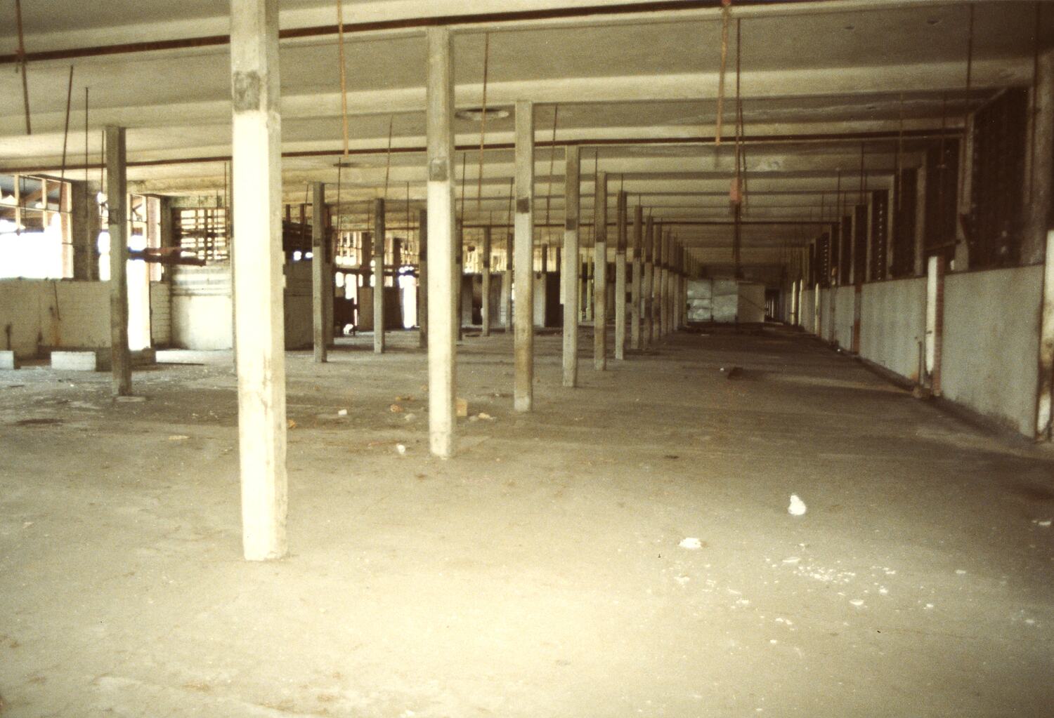 Digital Photograph - Melbourne City Abattoirs, Newmarket, Dec 1984