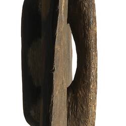 Shield, Australia, Rainforest