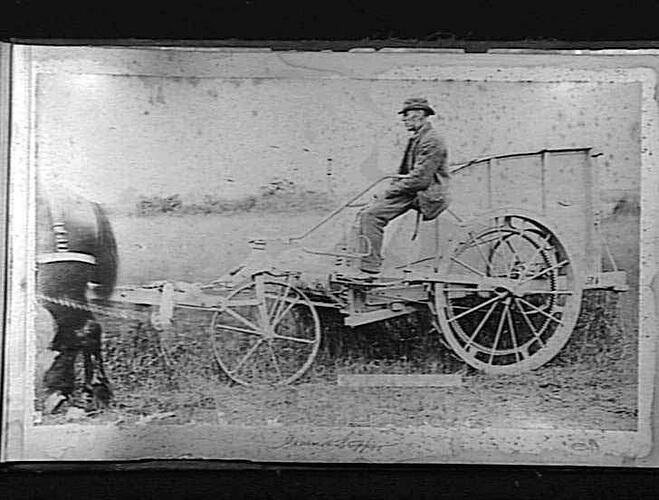 Photograph - R. Hornsby & Sons, Man Seated on Horse Drawn Grain Stripper, 1889