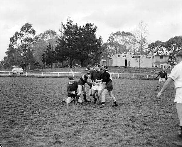 Football Players Celebrating on Ground, Eltham, Victoria, Jul 1958