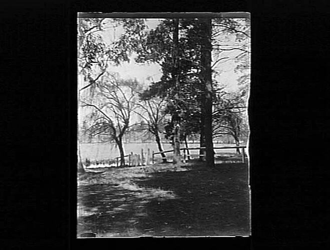 Negative - Glass