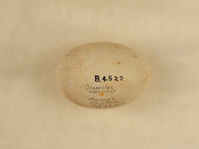 Bird egg, hand written text on shell.