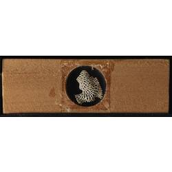 Underside of wooden microslide containing bryozoan specimen,