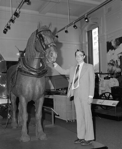 Dr. Hayden Downing with model of Clydesdale horse, Science Museum, Melbourne, 1980s