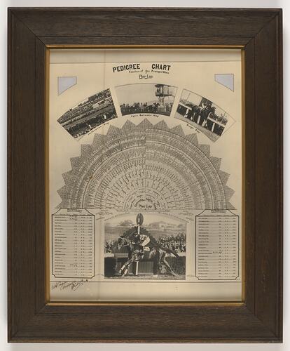 Chart - Pedigree Chart, Phar Lap, Framed, 1930s