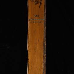 Timber Sample - Scented Paper Bark, Melaleuca squarrosa, Victoria, 1885