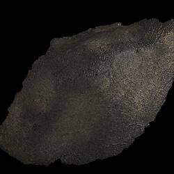 Murchison Meteorite. [E 12391]