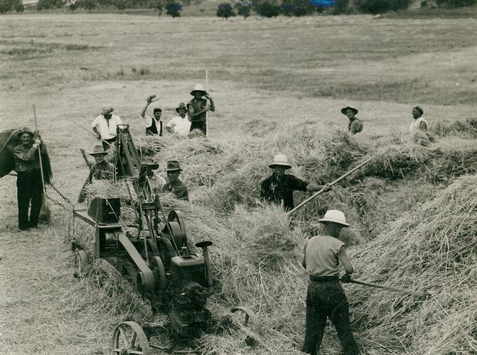 12 people in a field loading hay into a stationary hay press.