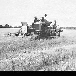 Photograph - H.V. McKay Massey Harris, Field Trial of Sunshine W-Type Auto Header at Broad Chalke, near Salisbury, Wiltshire, England, 1934