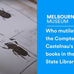 Who mutilated the Compte De Castelnau's rare books in the State Library of Victorias collection