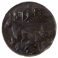Medal - Towers Pastoral Agricultural & Mining Association, Bronze Prize, Queensland, Australia, 1882