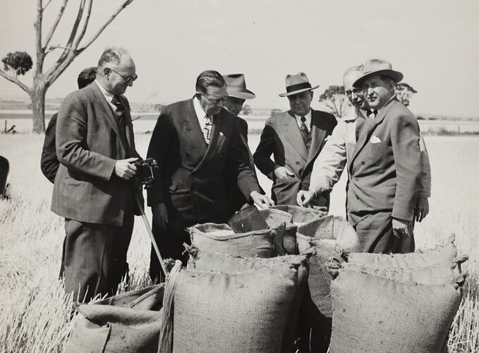 Group of men wearing suits inspecting grain bags in a field.