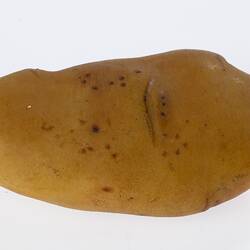 Irregularly shaped light brown model of a potato.