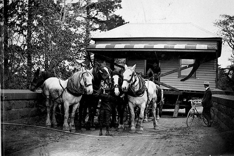 [A horse team moving a house, about 1915. The house is too wide to cross the narrow bridge.]