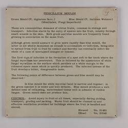 Exhibition Label - Penicillium Moulds, Industrial & Technological Museum, Melbourne, circa 1940