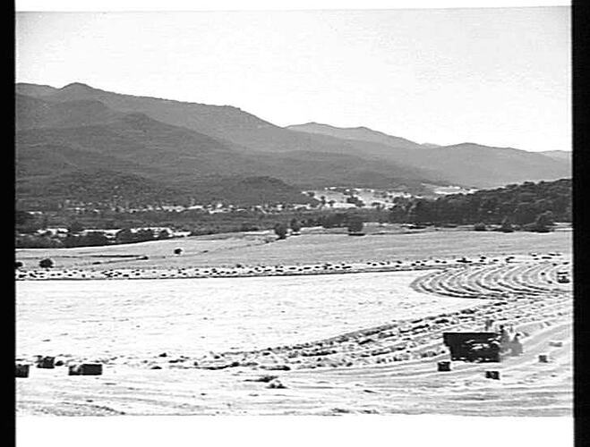 NO. 361. SCENIC SPLENDOUR. A SUNSHINE PICKUP BALER BALING MEADOW HAY AT POREPUNKAH, NORTH EASTERN VICTORIA. DECEMBER, 1949.