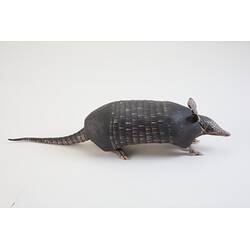 <em>Dasypus novemcinctus</em>, Nine-banded Armadillo. [C 27258]