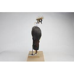 <em>Balearica regulorum regulorum</em>, Grey Crowned Crane. [55990]