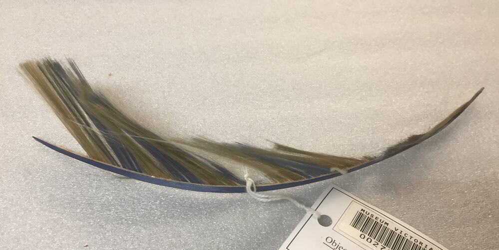 Finely spun glass replicating a blue and yellow feather.
