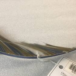 Finely spun glass replicating a blue and yellow feather.