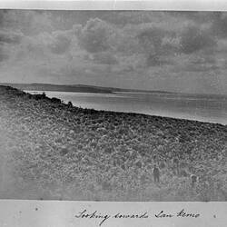 Photograph - by A.J. Campbell, Phillip Island, Victoria, circa 1902