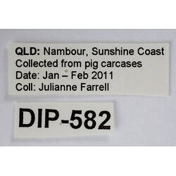 Specimen labels.