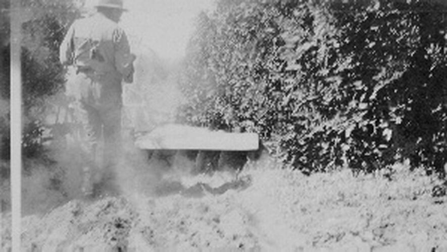 Photograph - Horse drawn cultivator