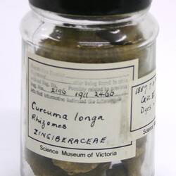 Spice Sample - Curcuma longa (Zingiberaceae), Tumeric, India, 1880s