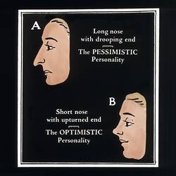 Phrenology lantern slide depicting a comparison of nose types and their associated personality traits.