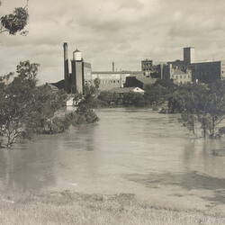 Photograph - Yarra River in Flood, Kodak Factory, Abbotsford, December 1934